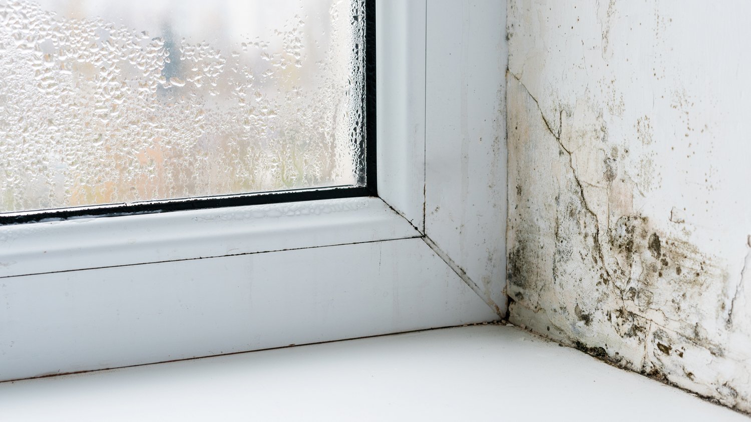 a corner of room having mould
